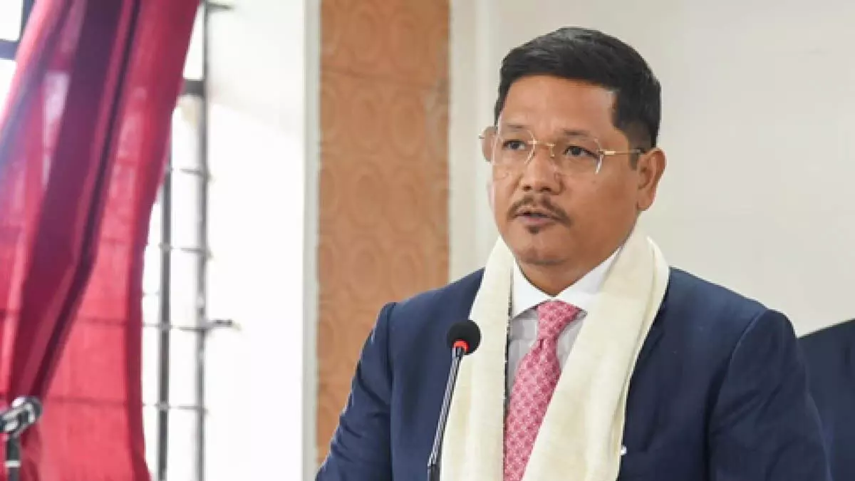 3549135-25.webp 3549135-25.webp