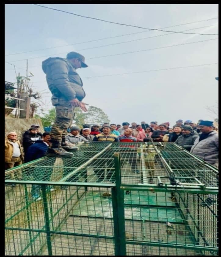 IMG-20240205-WA0205.jpg IMG-20240205-WA0205.jpg