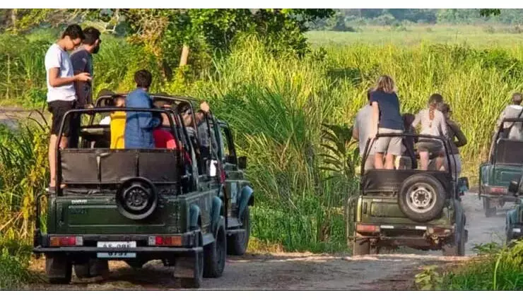 3577398-40.webp 3577398-40.webp