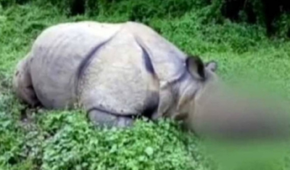 Screenshot_20240323_185753_Chrome.jpg Screenshot_20240323_185753_Chrome.jpg