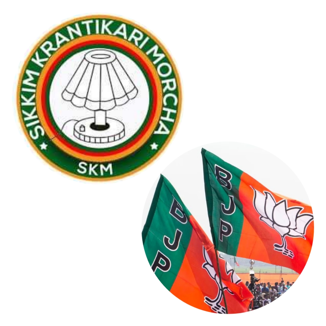 photocollage_202432321033598.jpg photocollage_202432321033598.jpg