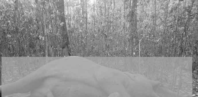 IMG-20240418-WA0003-copy