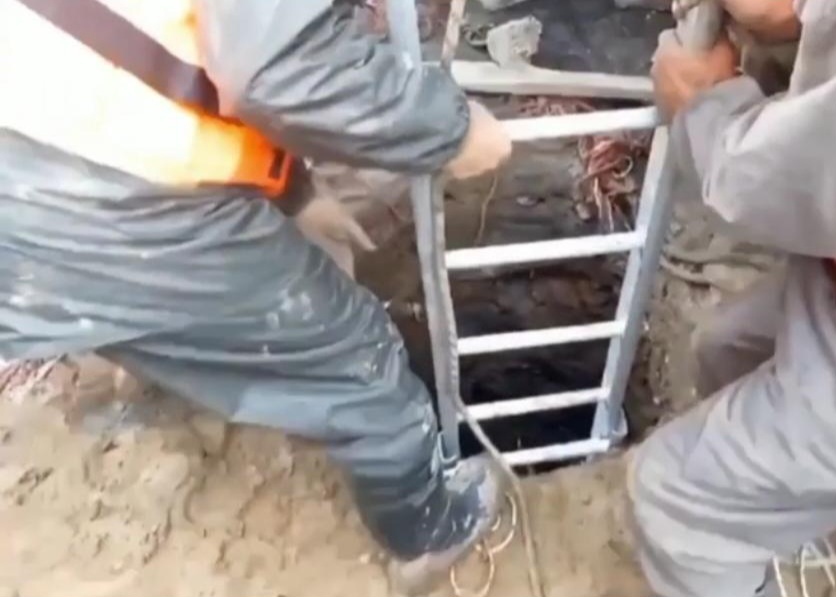 IMG-20240420-WA0166 IMG-20240420-WA0166