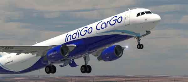 Indigo-copy