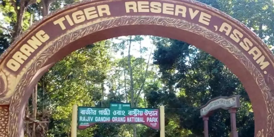 Orang-Tiger-Reserve-Asam