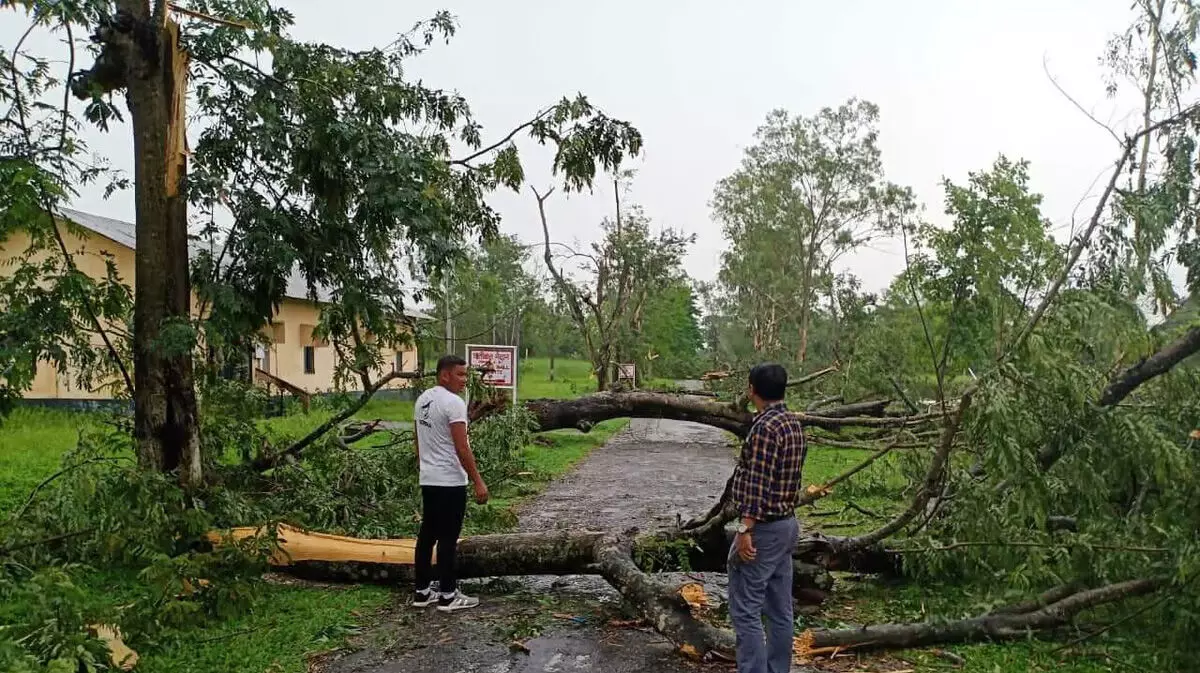 Tripura-Cyclone