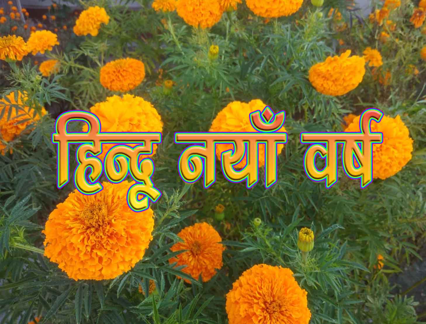 WhatsApp-Image-2024-04-09-at-18.15.28-copy