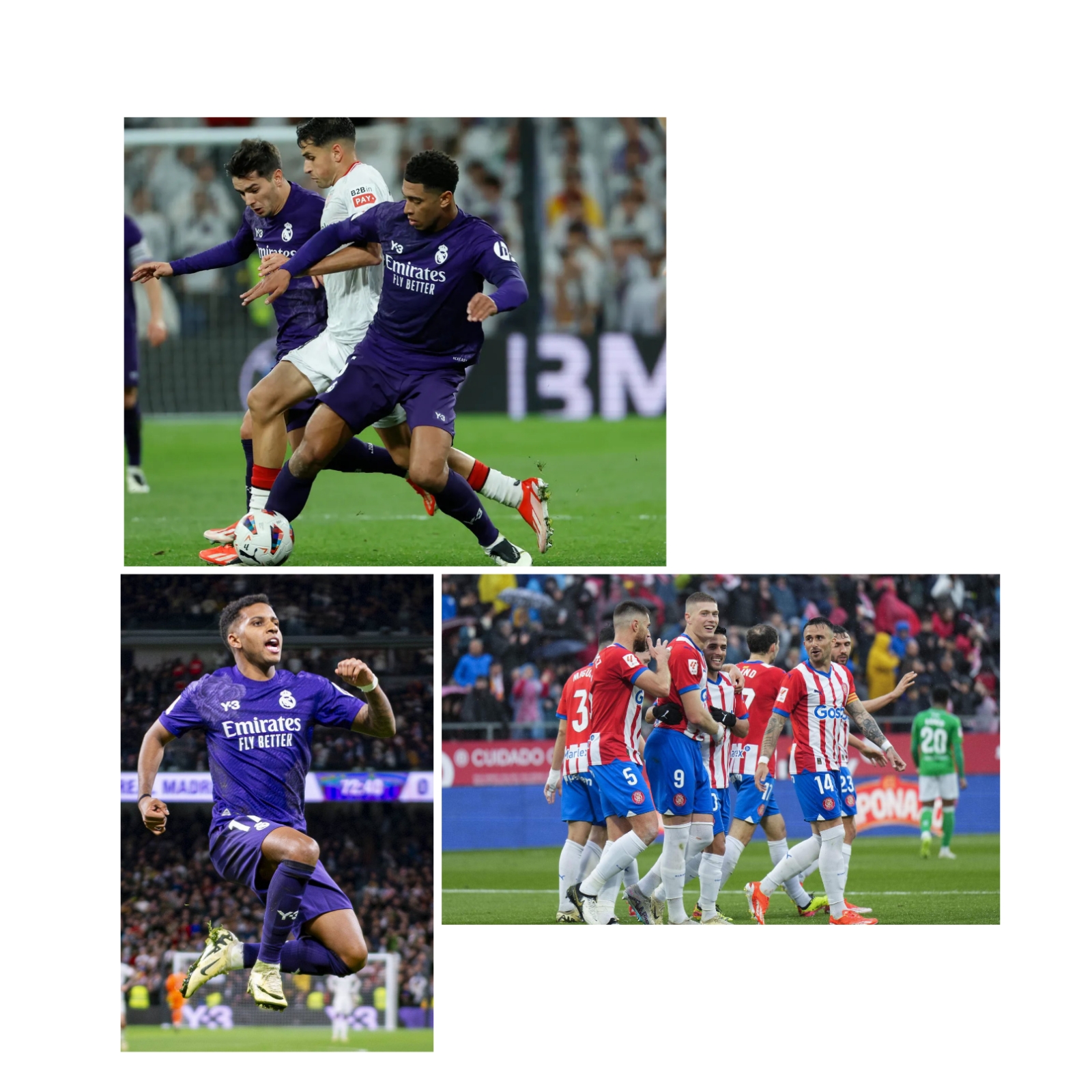 photocollage_20244111154134.jpg photocollage_20244111154134.jpg