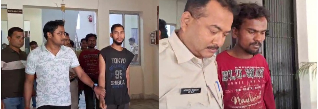 photocollage_2024413165749769.jpg photocollage_2024413165749769.jpg