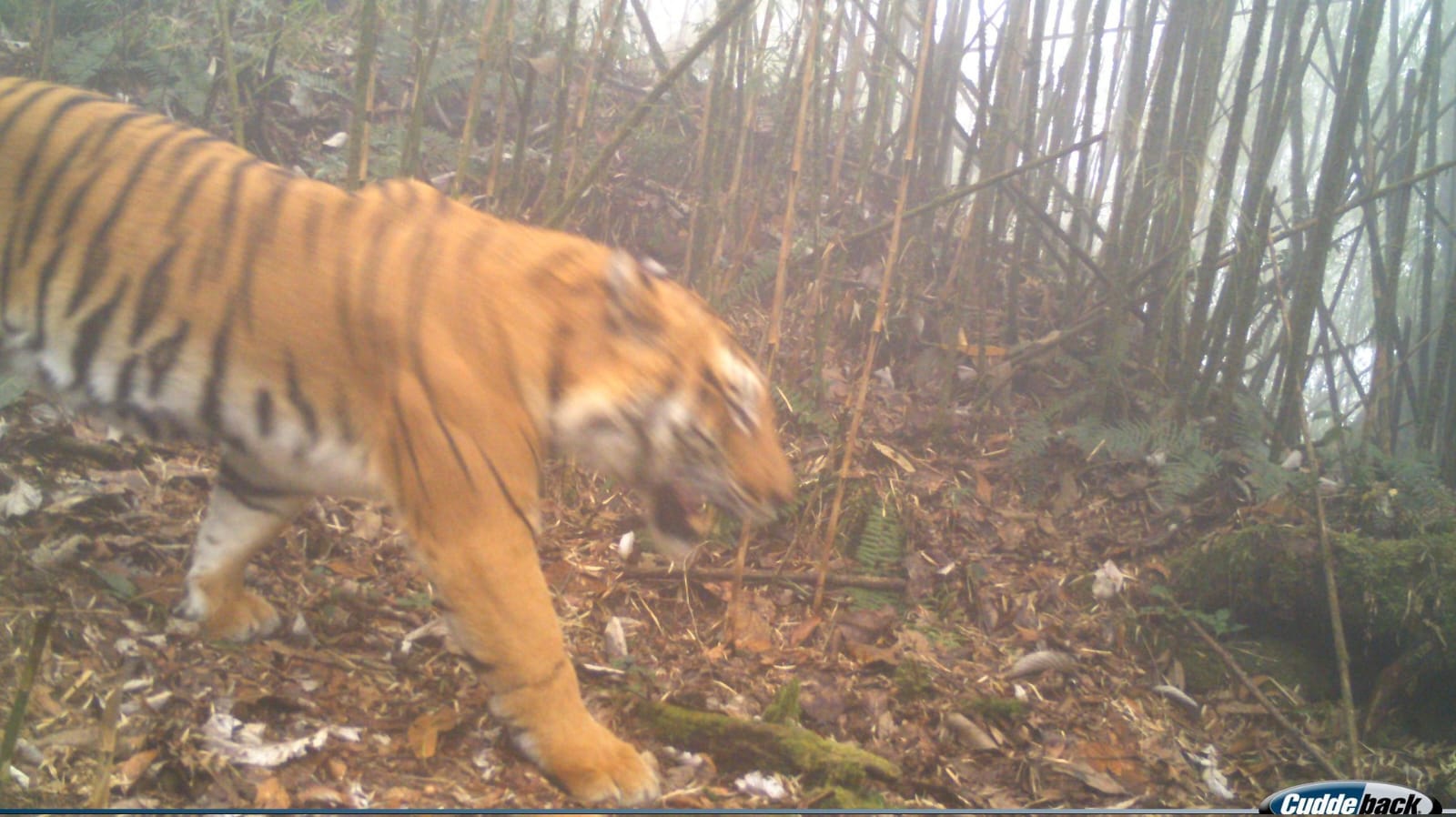 8aa75c9b-f04f-4e97-8639-4748157443b2