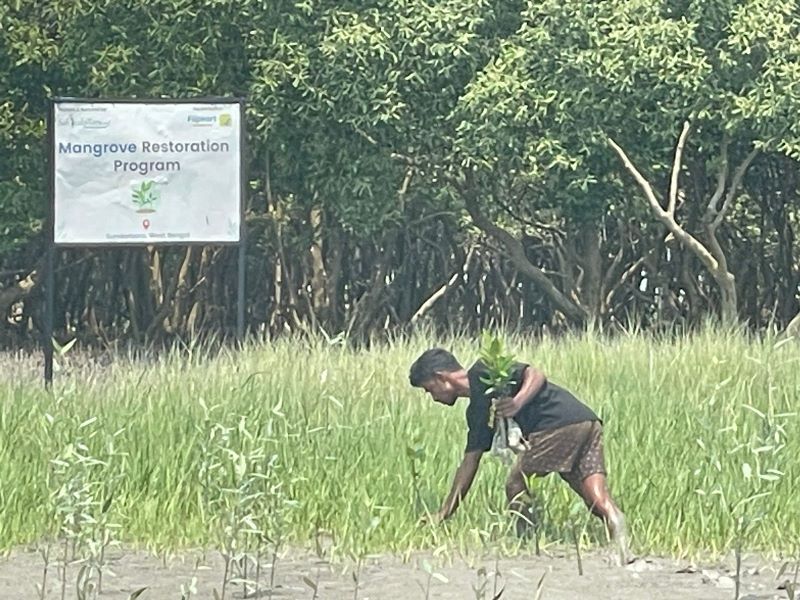 Flipkart-Foundation-and-SankalpTaru-Foundation-Collaborate-to-Restore-Mangrove-Ecosystem-in-Sundarbans