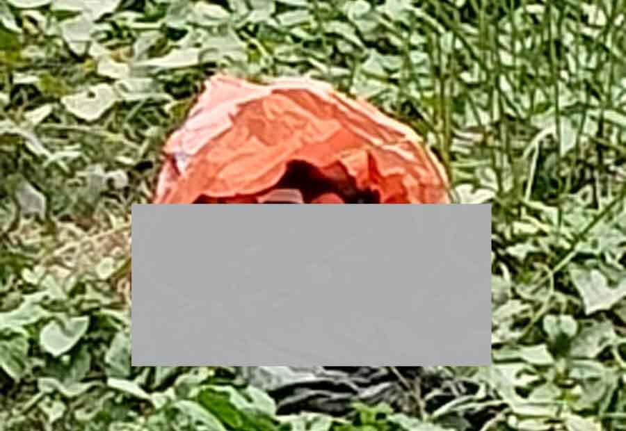 IMG-20240509-WA0169-copy