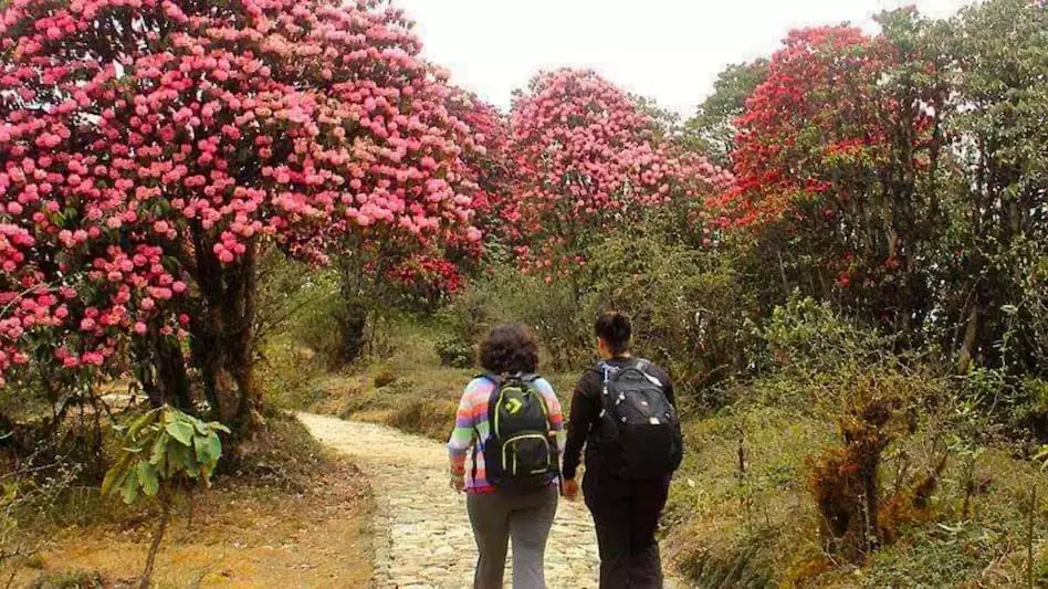 Sikkim-Photo