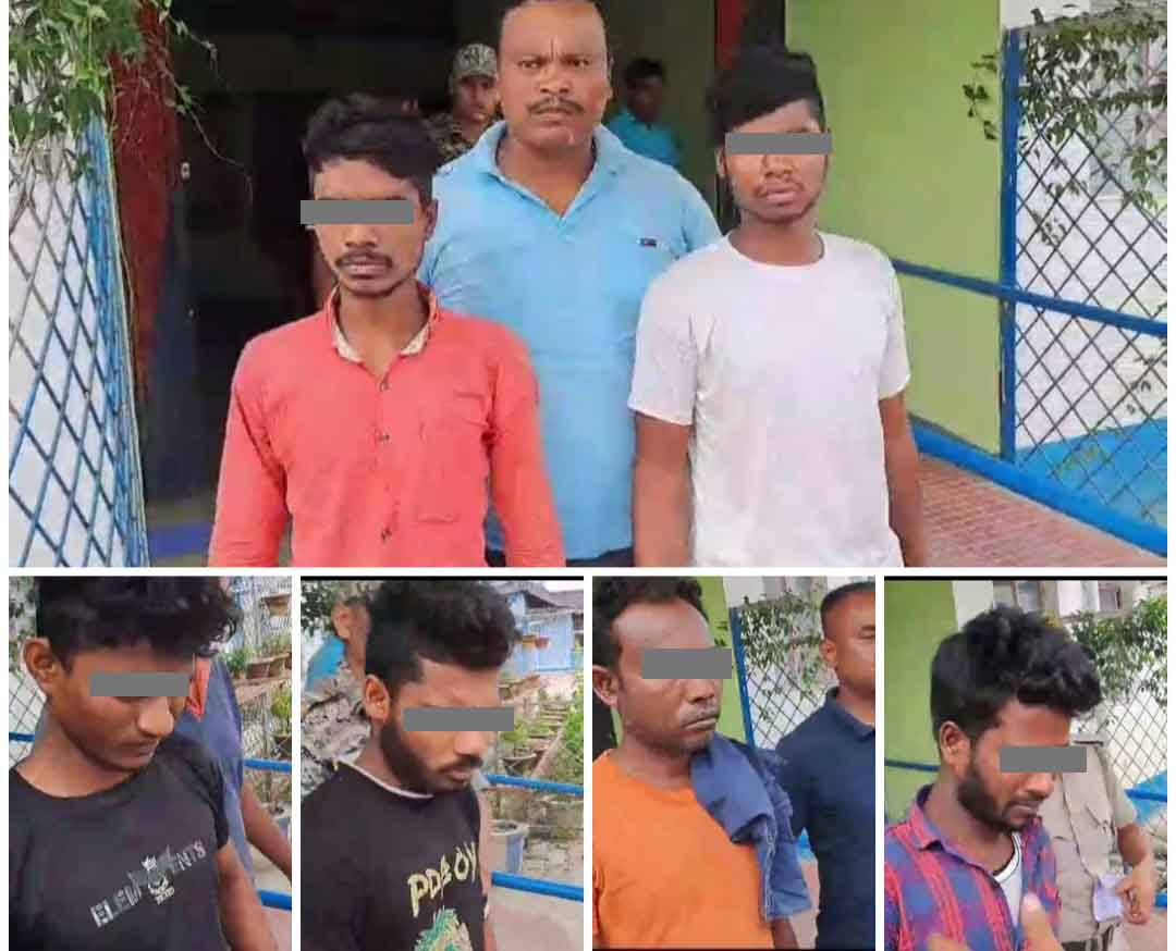 photocollage_2024522164836377-copy