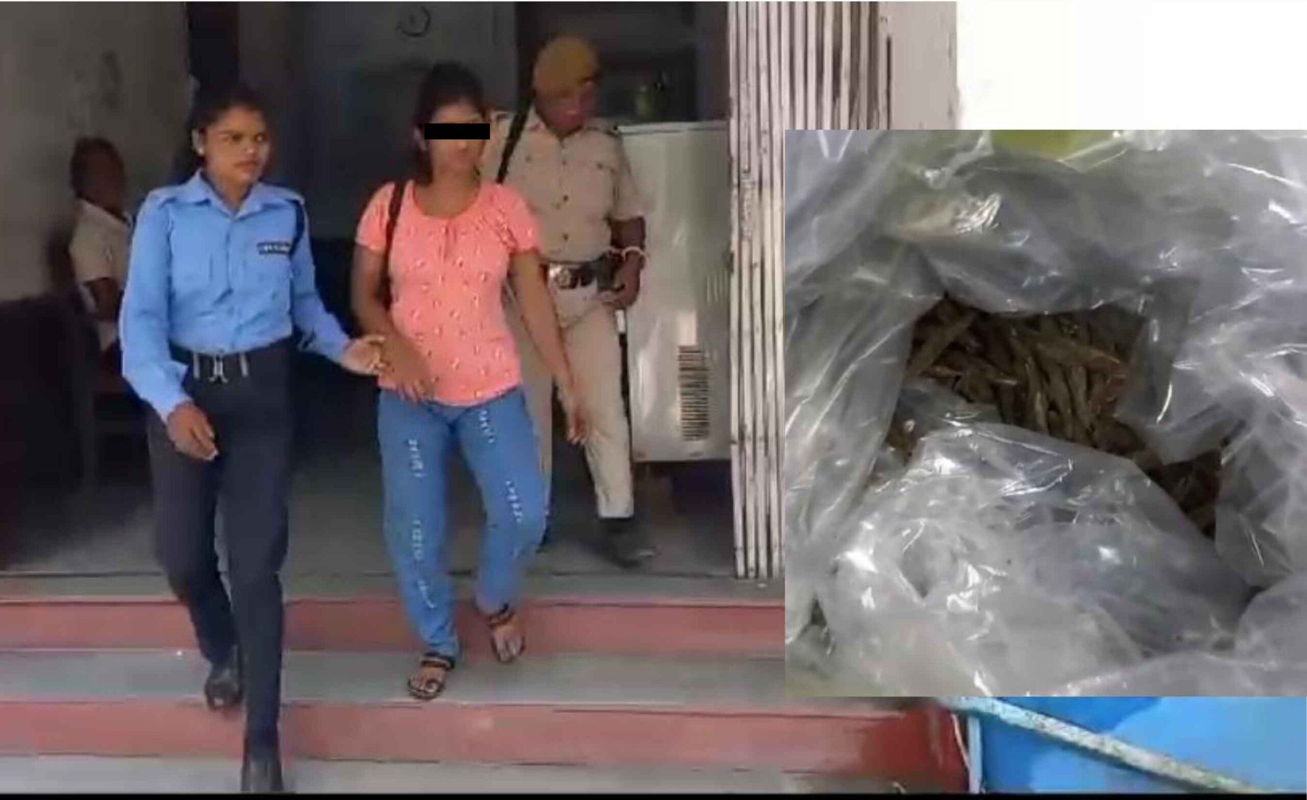 20240622_154218-1-copy