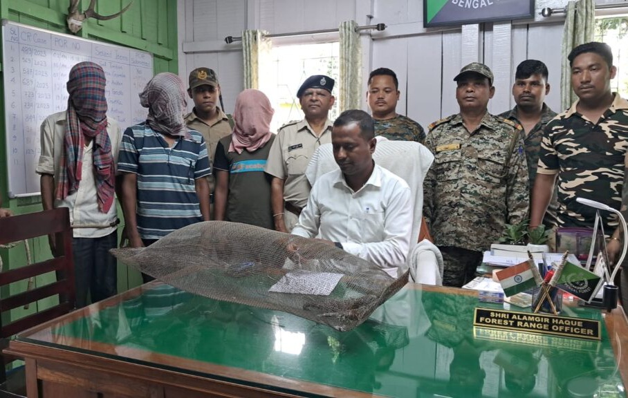 36028676-1692-4c77-a801-4f4aca2754b1-1024x576.jpg