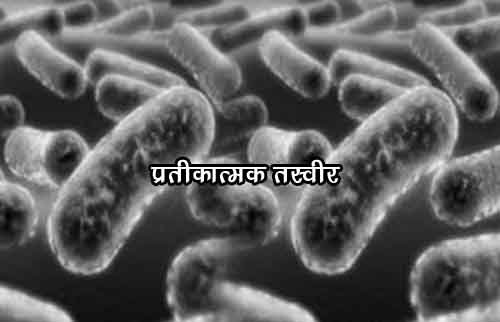 Bacteria-copy Bacteria-copy