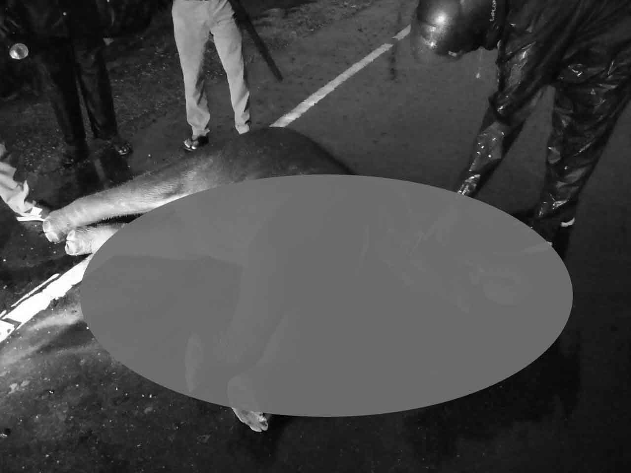 IMG-20240620-WA0193-copy IMG-20240620-WA0193-copy