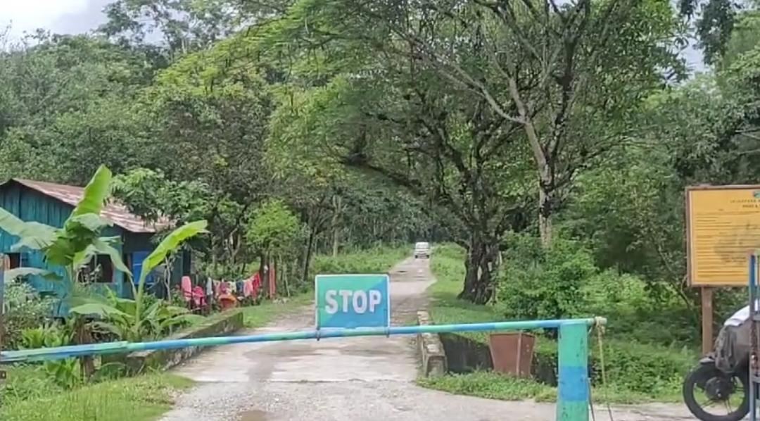 IMG-20240620-WA0202.jpg IMG-20240620-WA0202.jpg