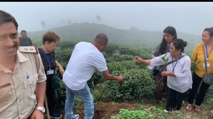 IMG-20240620-WA0225.jpg IMG-20240620-WA0225.jpg