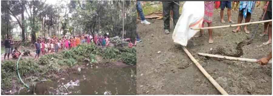 photocollage_202461216483423