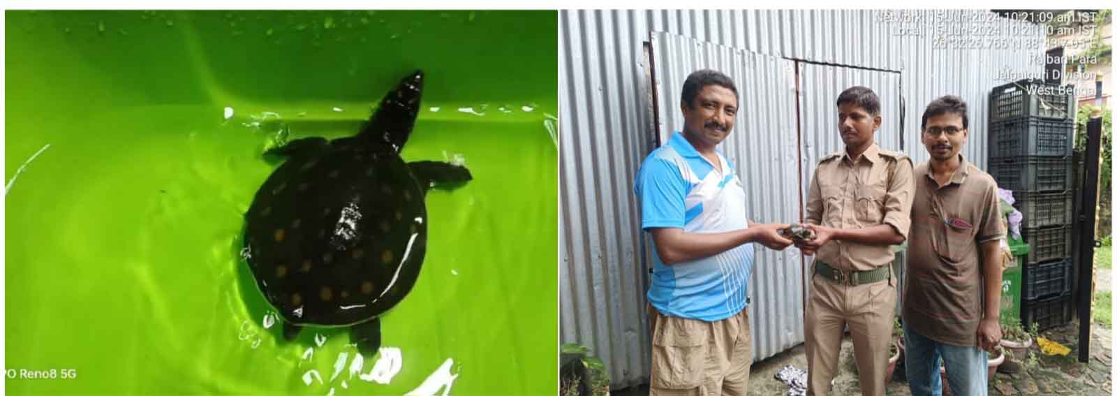 photocollage_2024615142657864-1