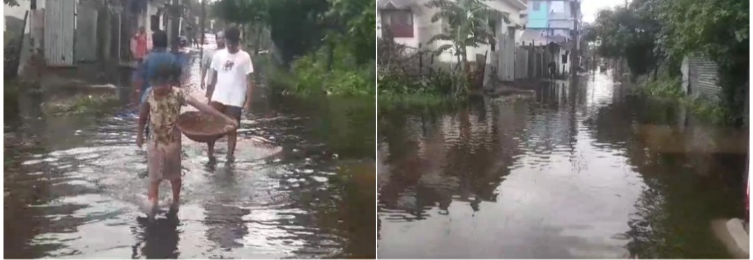 photocollage_2024615163026865