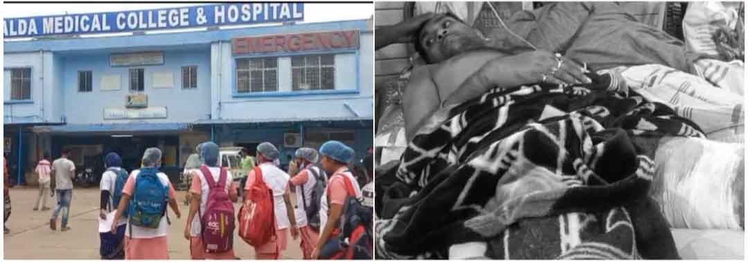 photocollage_20246151834686-1