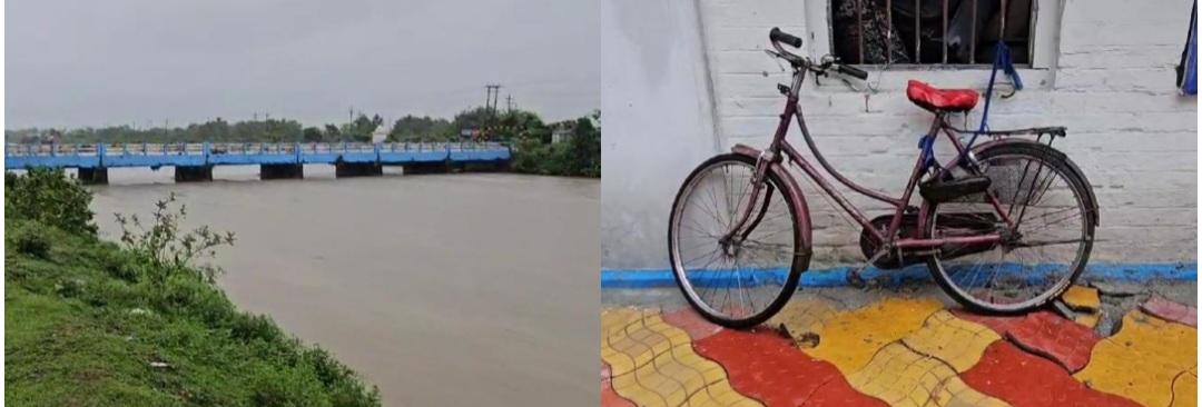 photocollage_2024616145236921