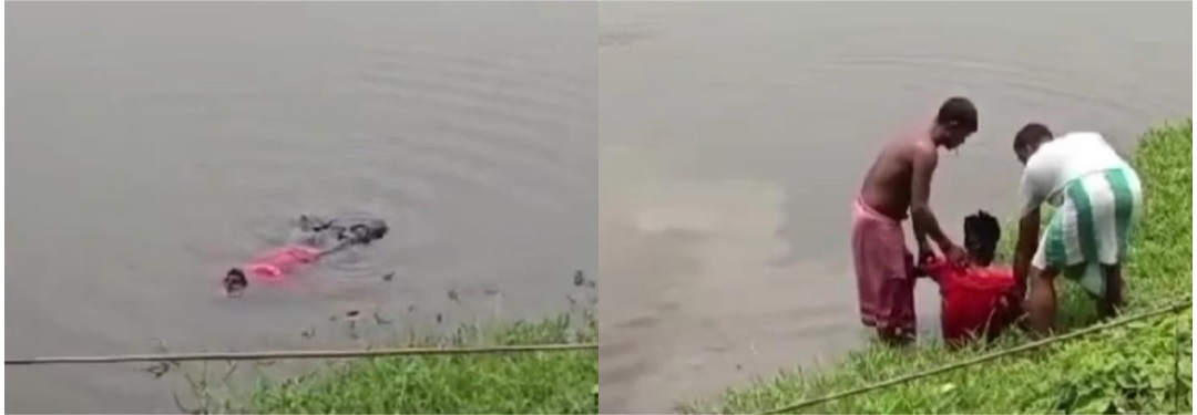 photocollage_202467175822331