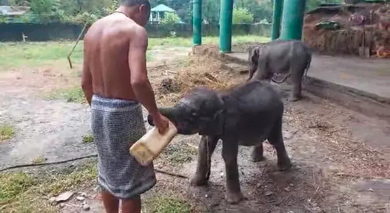 00-1-Assam