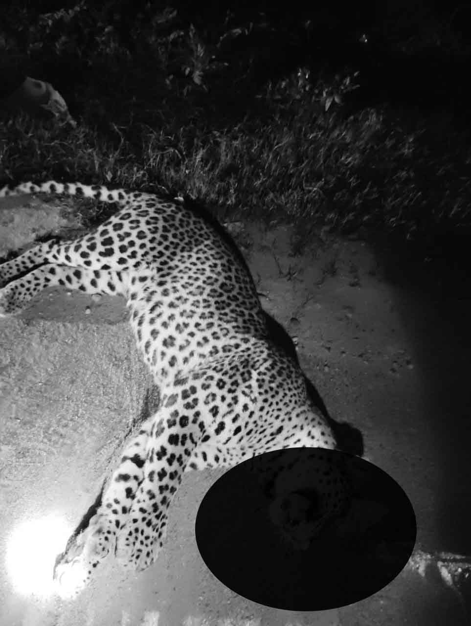 IMG-20240722-WA0207-copy