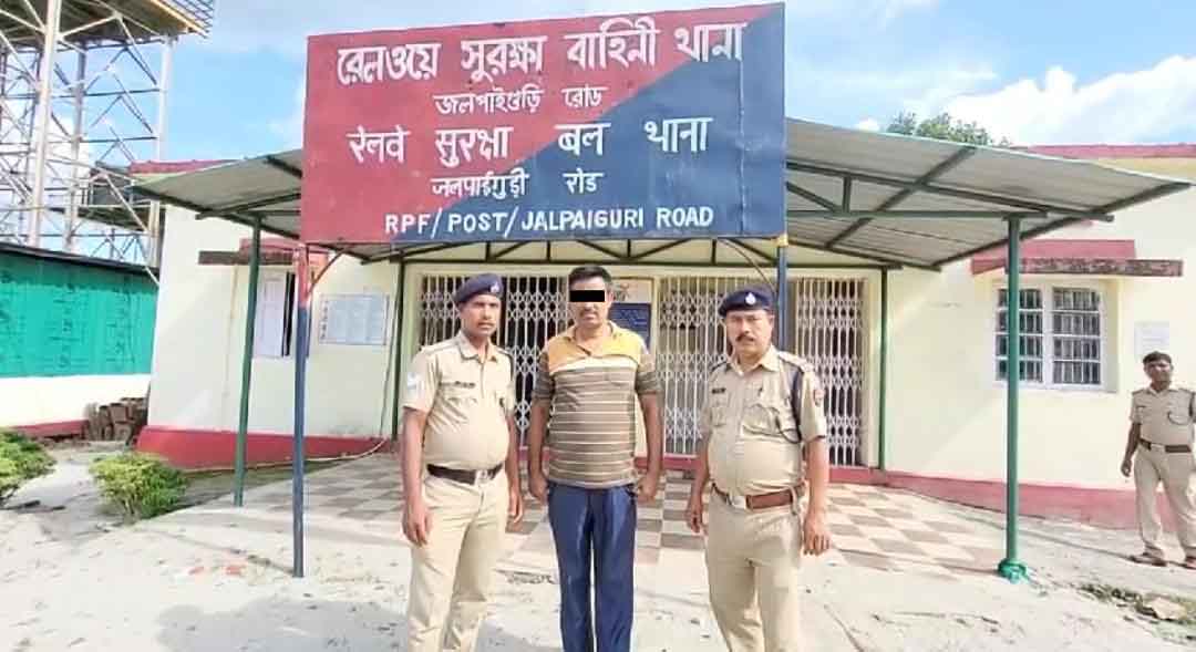 IMG-20240727-WA0157-copy