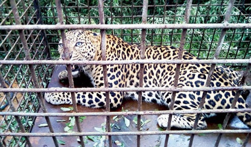 da3c5ccb-b50a-4a4c-853e-20a78cf8f72f