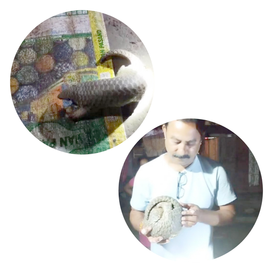 photocollage_202471144335288