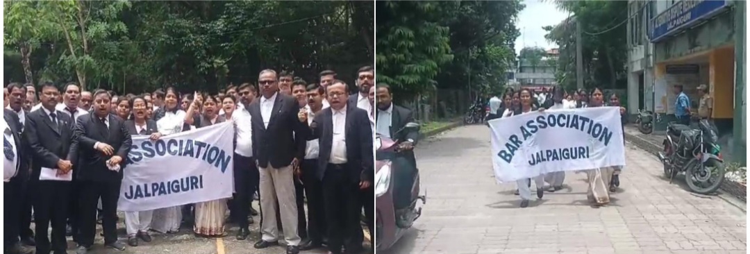 photocollage_202471152954721