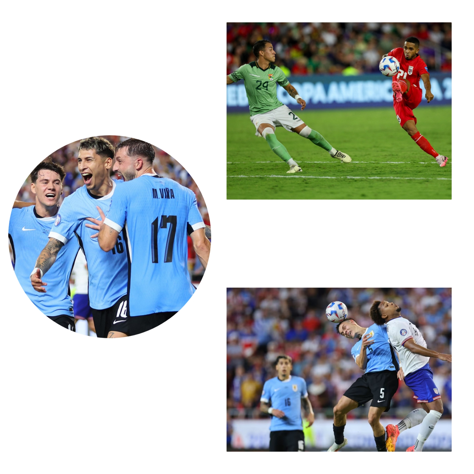 photocollage_202472141257168