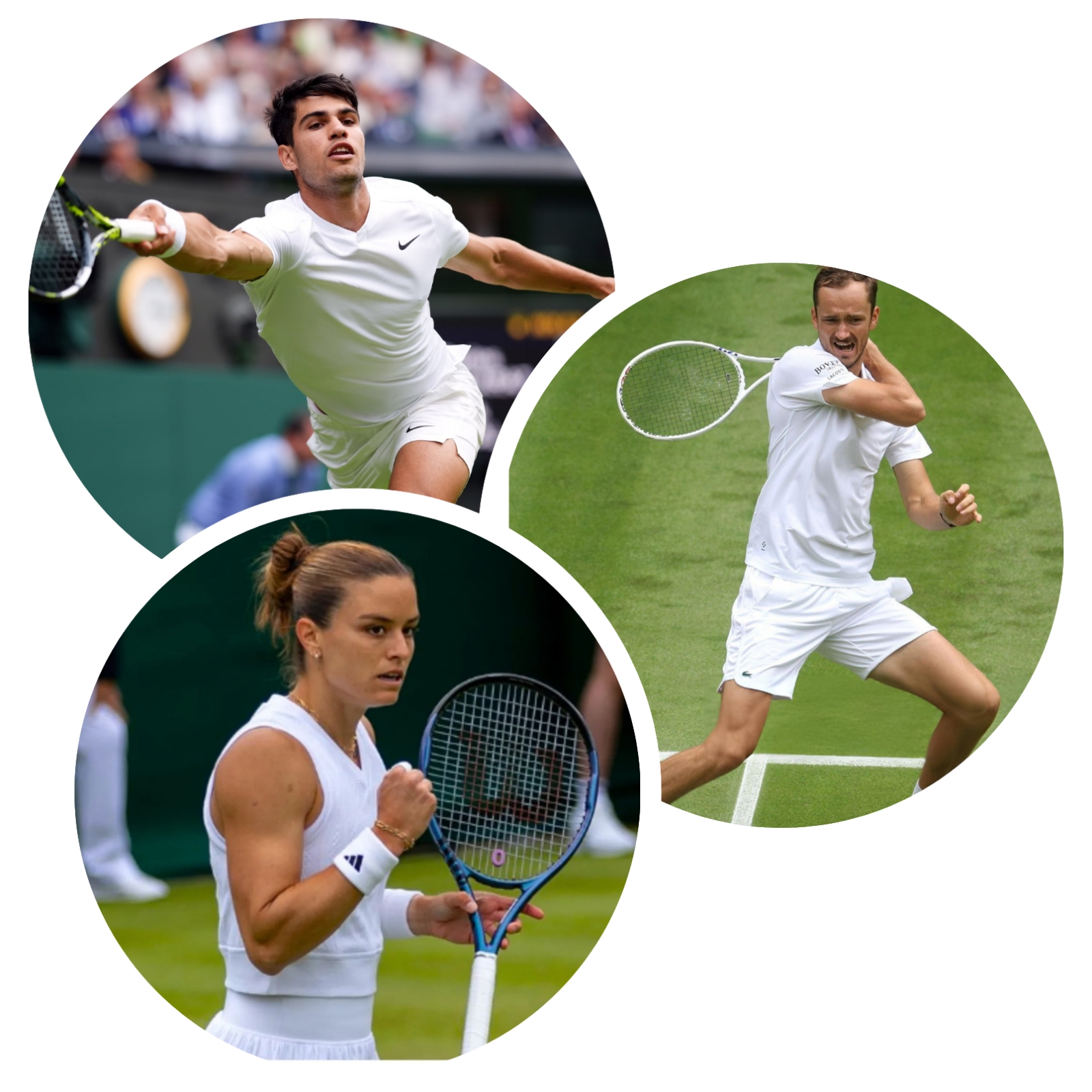 photocollage_202472141337932