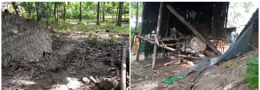 photocollage_202472515351302