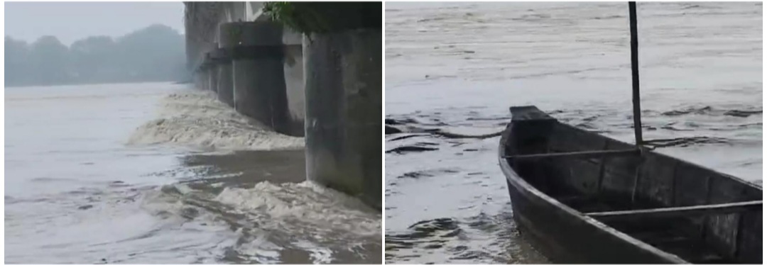 photocollage_20247271693040