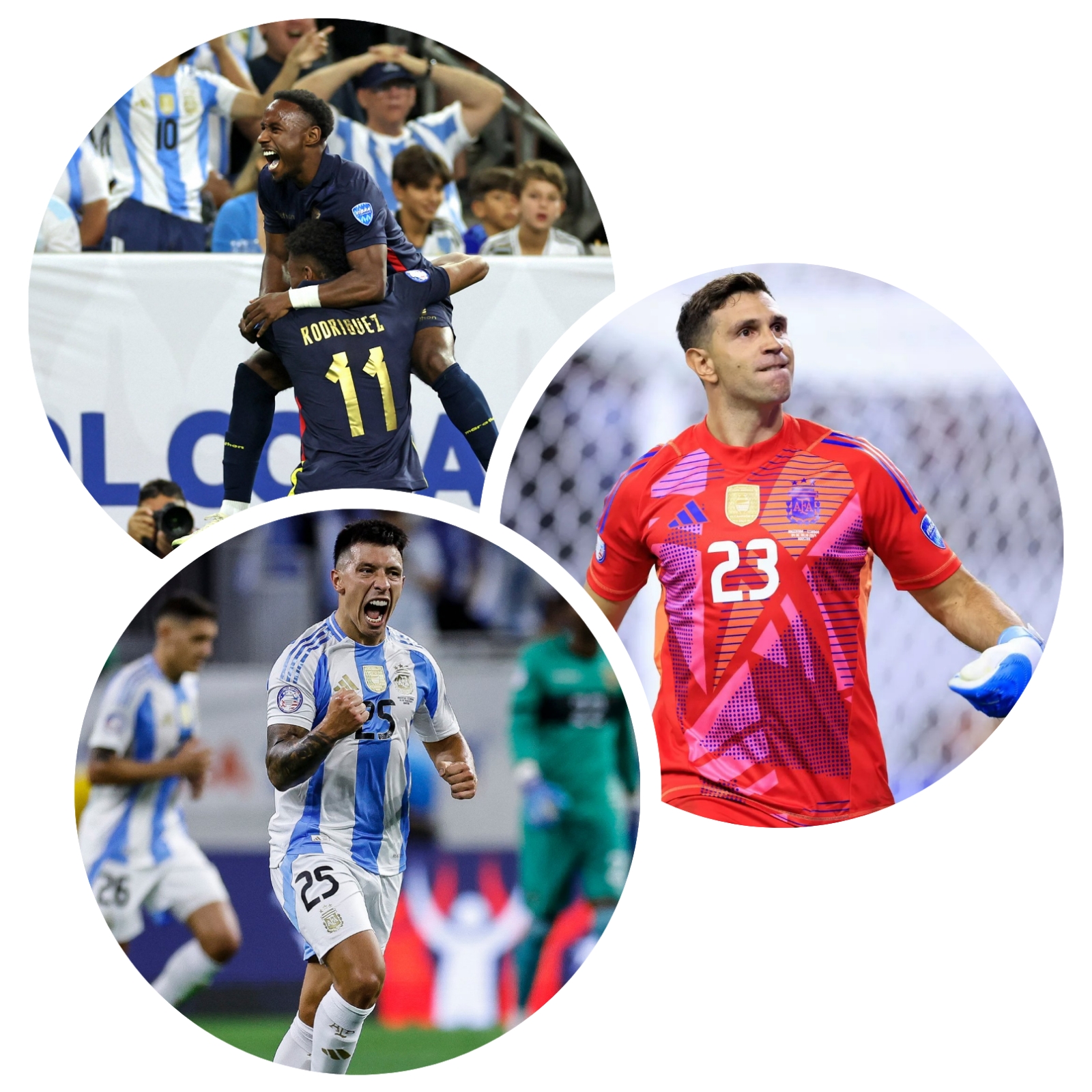 photocollage_20247513392783