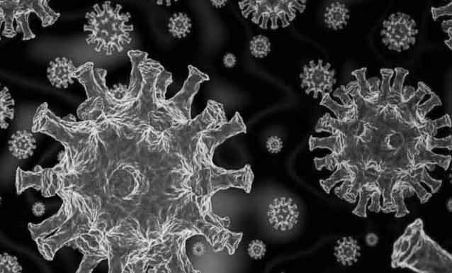 00-1-Virus-rep-image
