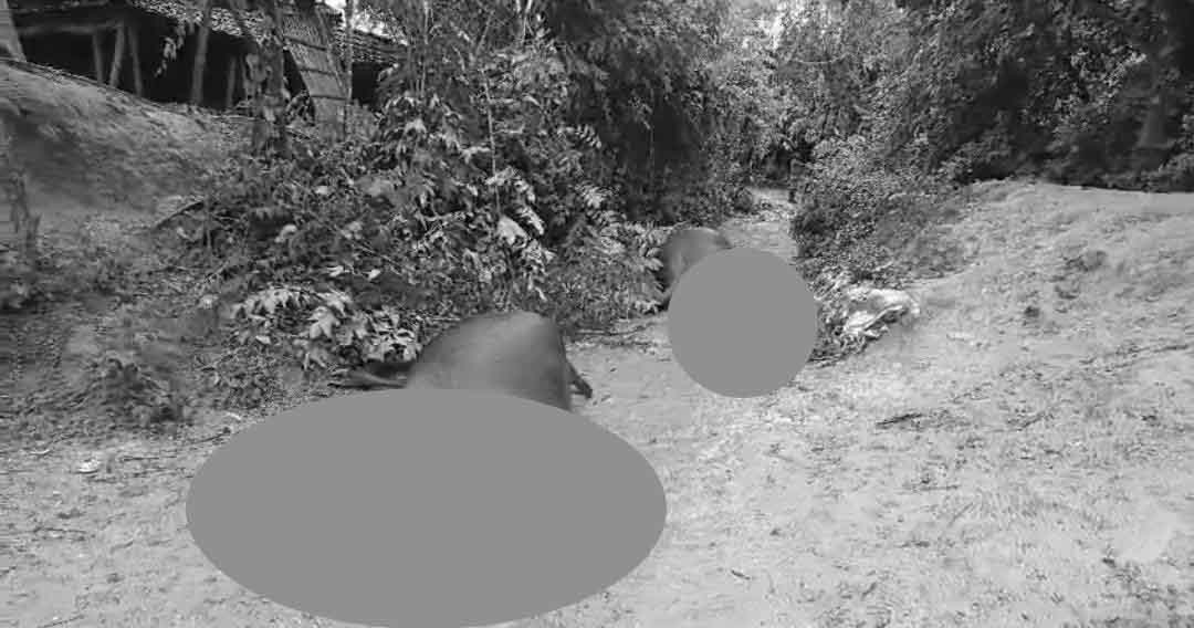 IMG-20240803-WA0221-copy IMG-20240803-WA0221-copy