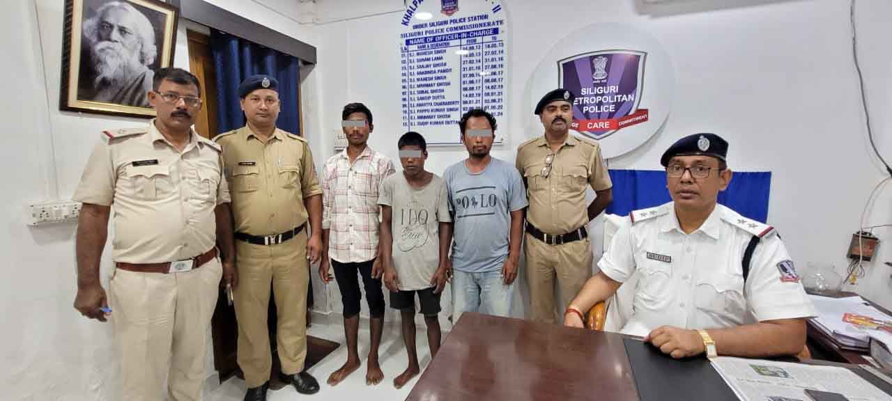 IMG-20240803-WA0238-1-copy