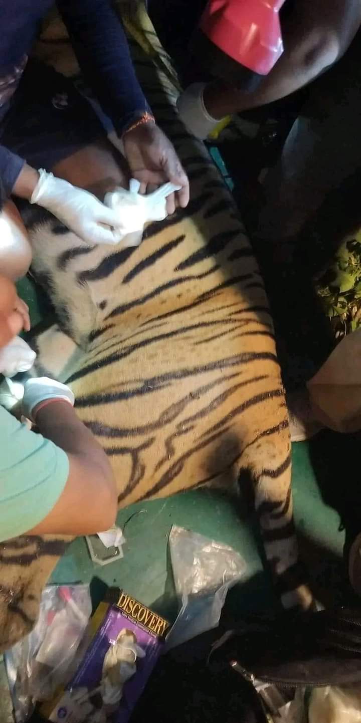 IMG-20240805-WA0123 IMG-20240805-WA0123