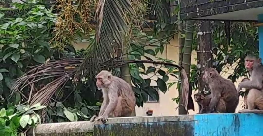 IMG-20240805-WA0165 IMG-20240805-WA0165