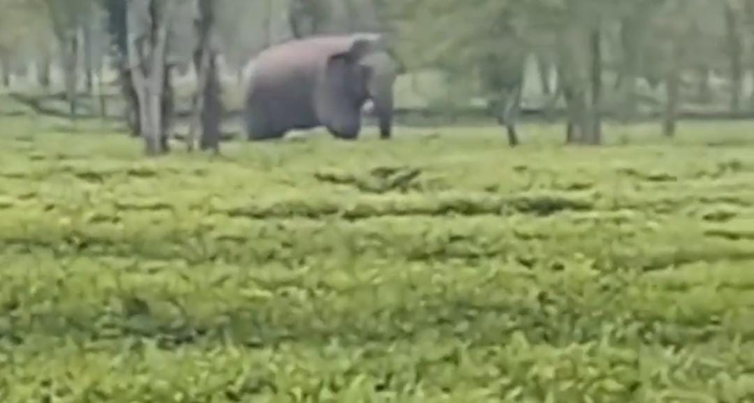 IMG-20240805-WA0171 IMG-20240805-WA0171