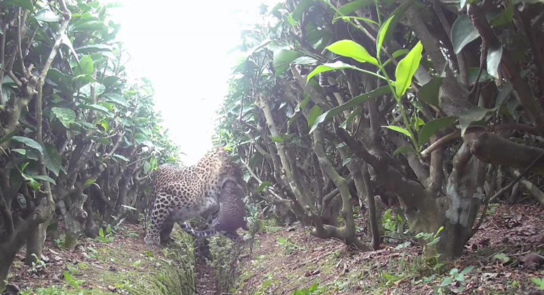 IMG-20240805-WA0180 IMG-20240805-WA0180