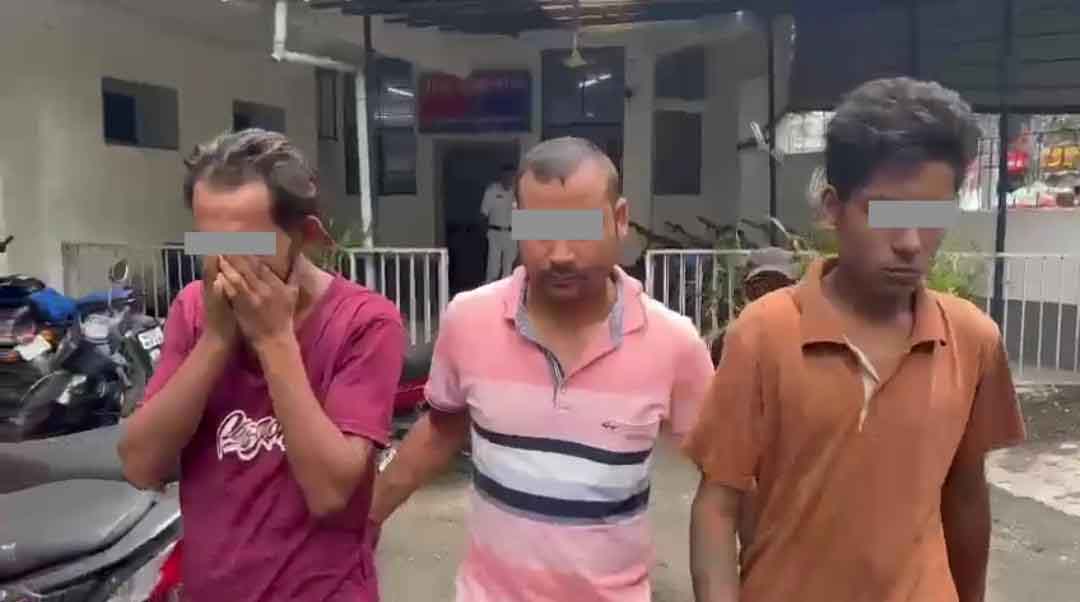 IMG-20240805-WA0245-copy IMG-20240805-WA0245-copy