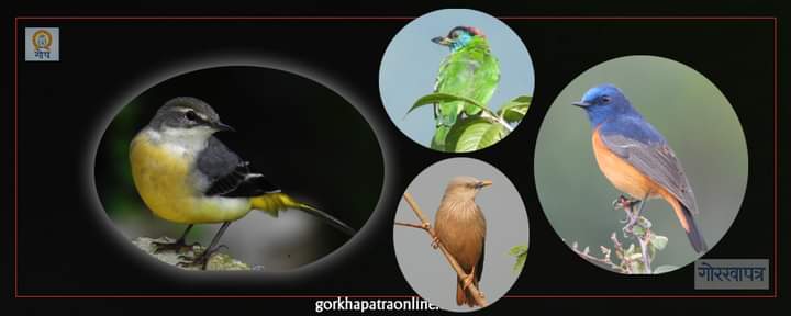 IMG-20240807-WA0062 IMG-20240807-WA0062